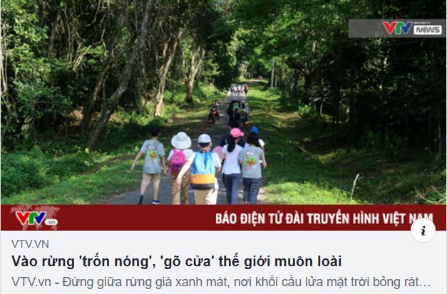 Vào rừng "trốn nóng", "gõ cửa" thế giới muôn loài